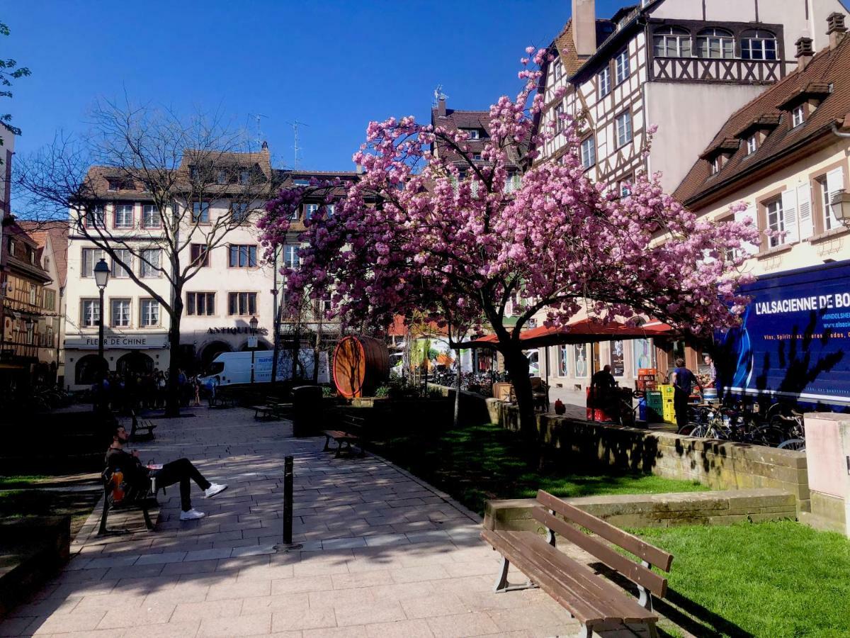 Le Moment Bleu Apartment Strasbourg Exterior photo